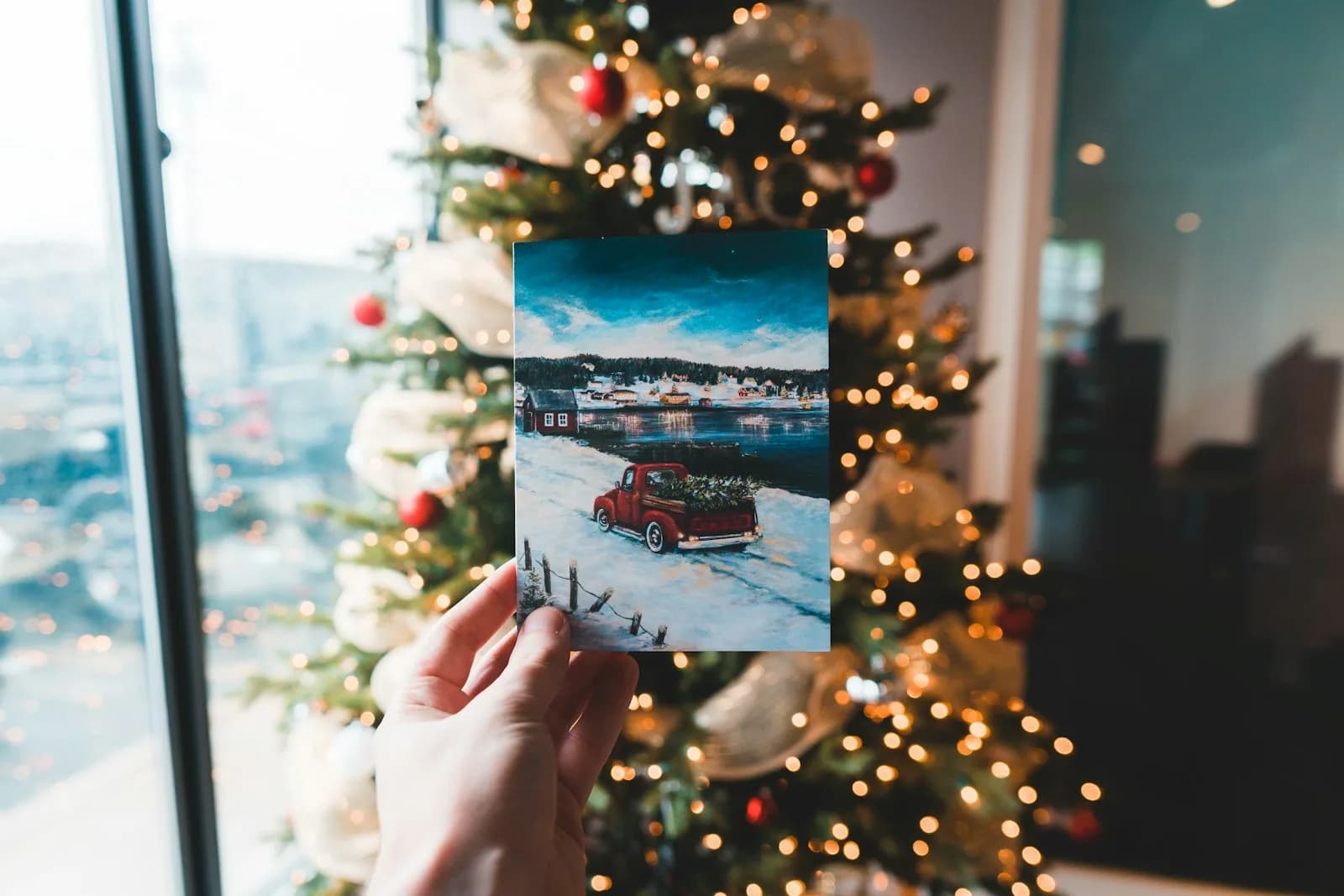 Roka drži natisnjeno fotografijo pred okrašeno božično smrekico z lučkami