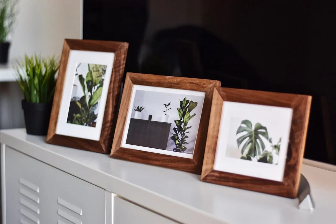 Trije leseni okvirji s fotografijami rastlin na beli komodi