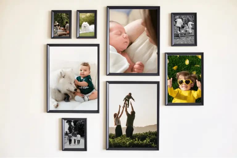 Pregled in potrditev spletnega naročila tiska fotografij