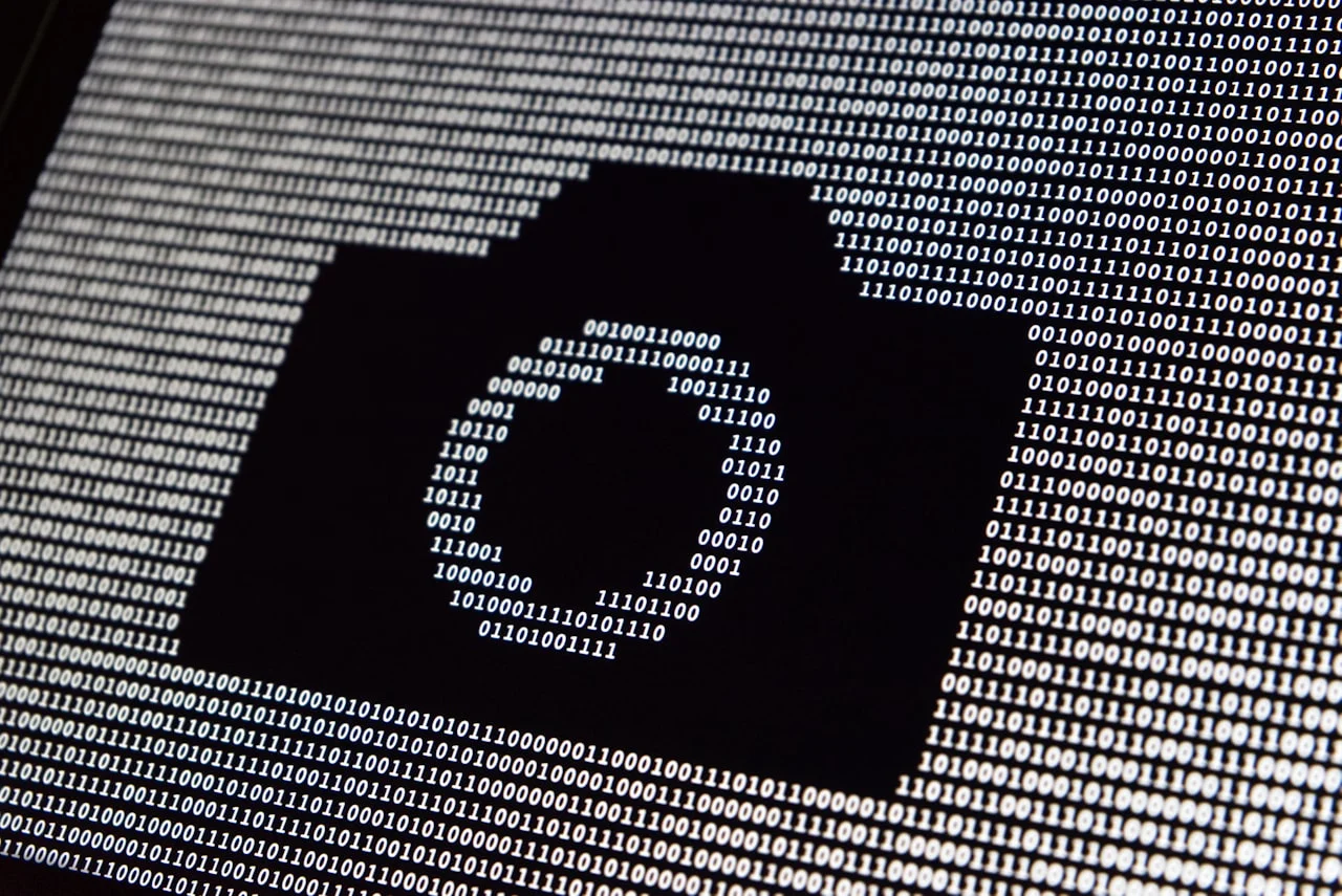 Roka, ki preverja podrobnosti fotografije na ekranu računalnika